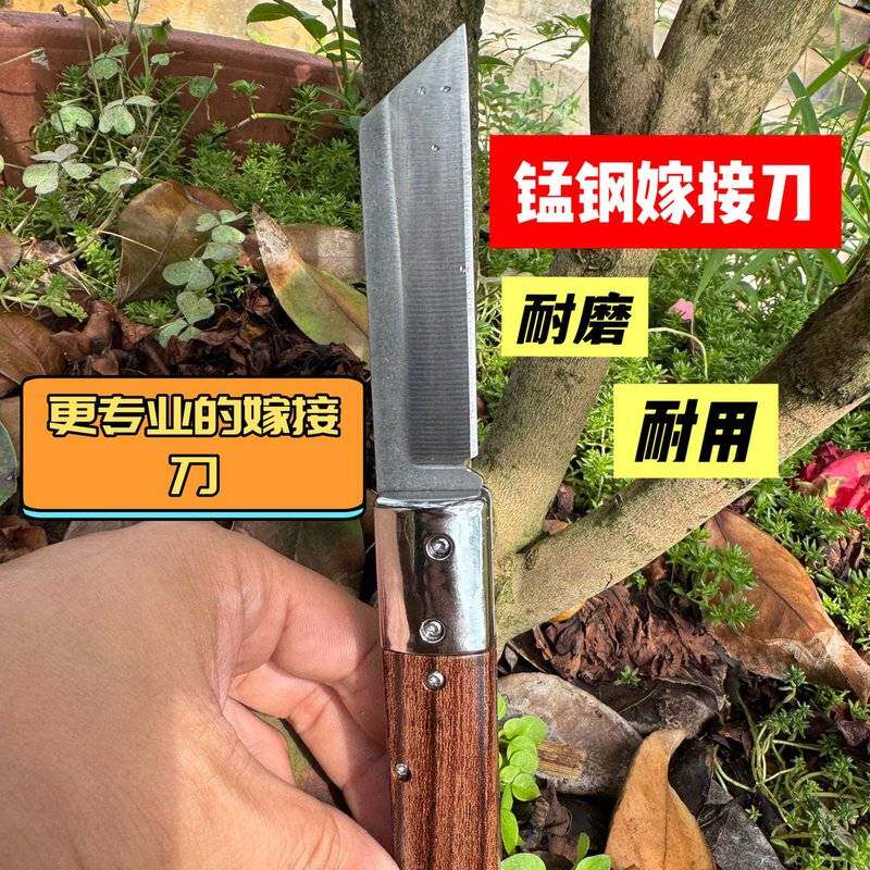 锰钢嫁接刀果树花卉盆景金弹子嫁接专用芽接劈接工具折叠嫁接神器