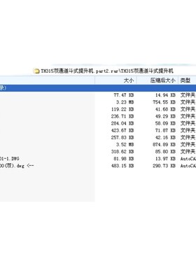 TH31f5双通道斗式提升机