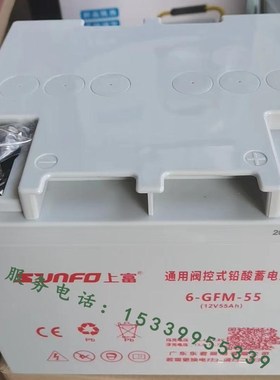 广东东君EPS应急照明集中电源配电箱控制柜36V上富蓄电U池6FM33AH