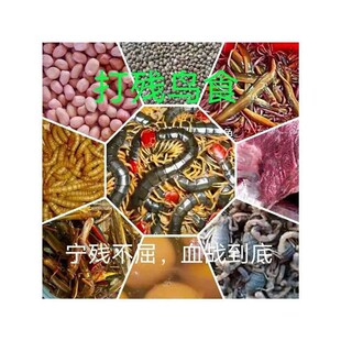 画眉饲料,打残鸟l食,饲料配方独特,提性快,打斗凶残,断指也不跑