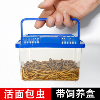 面包虫活虫活体黄粉虫仓鼠蜘蛛蝎子乌龟鸟食鹦鹉鱼活饵饲料饲养盒