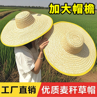 大草帽农民沙滩户外遮阳夏防晒工地女大檐大沿男草帽子太阳农用帽
