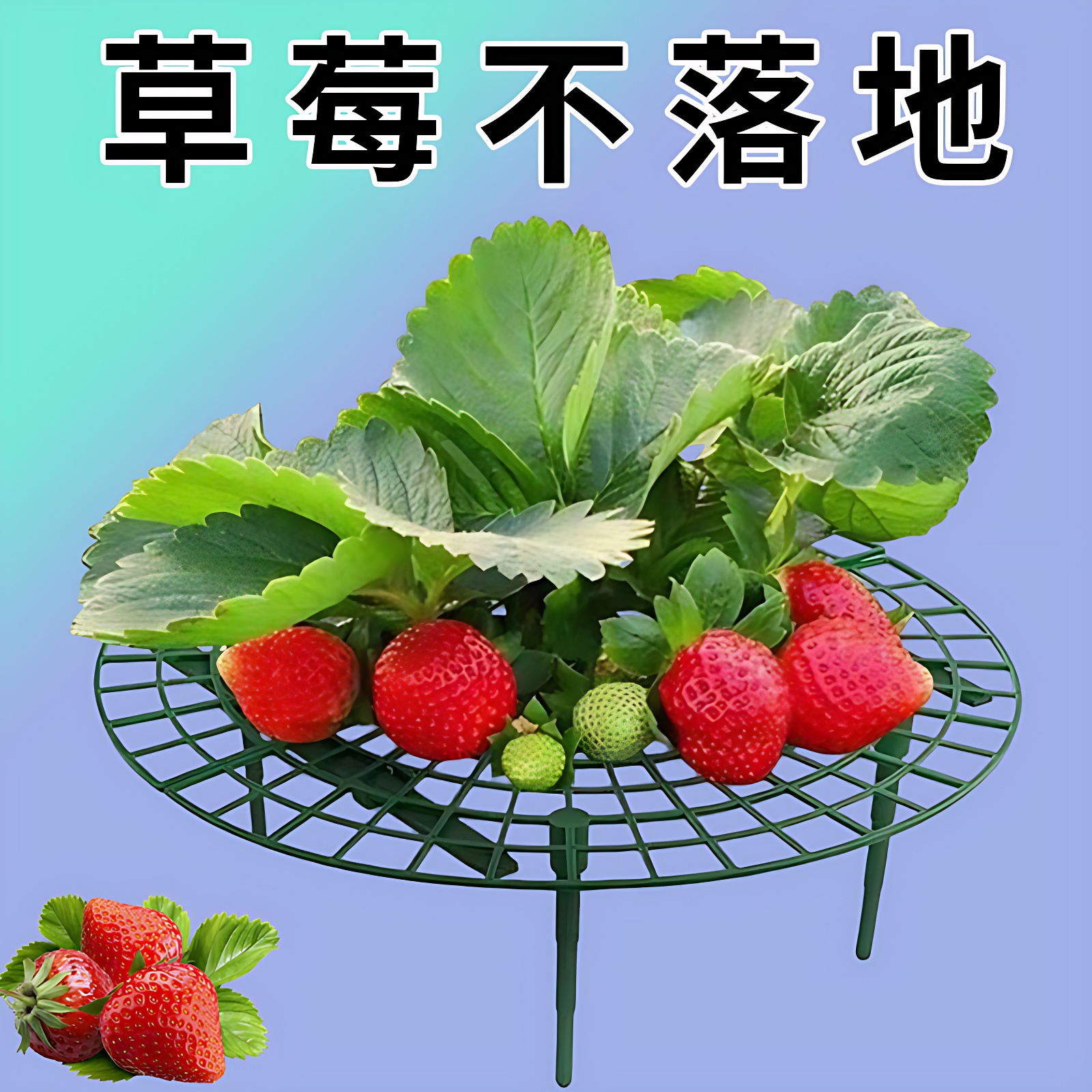 防烂果实田园草莓支架