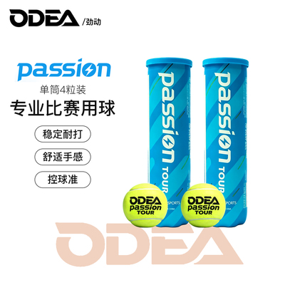 欧帝尔有压高回弹耐打网球4粒
