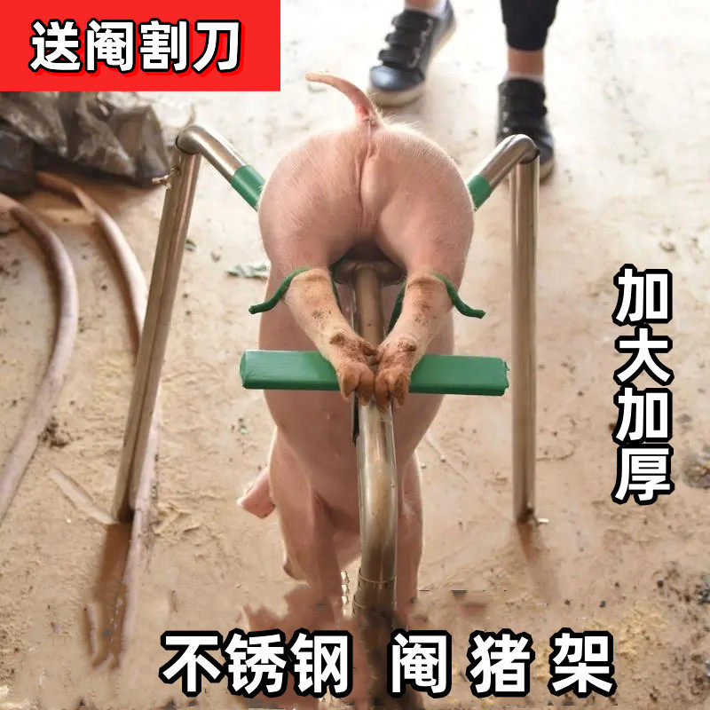 小猪阉割架仔猪用敲猪架猪器阉猪刀劁猪固定去势阉猪工具手术架