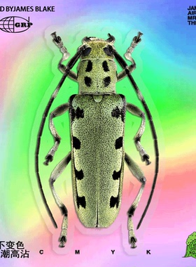 昆虫世界斑点绿色天牛划痕遮挡贴IPAD贴画车贴防水防晒防划贴纸