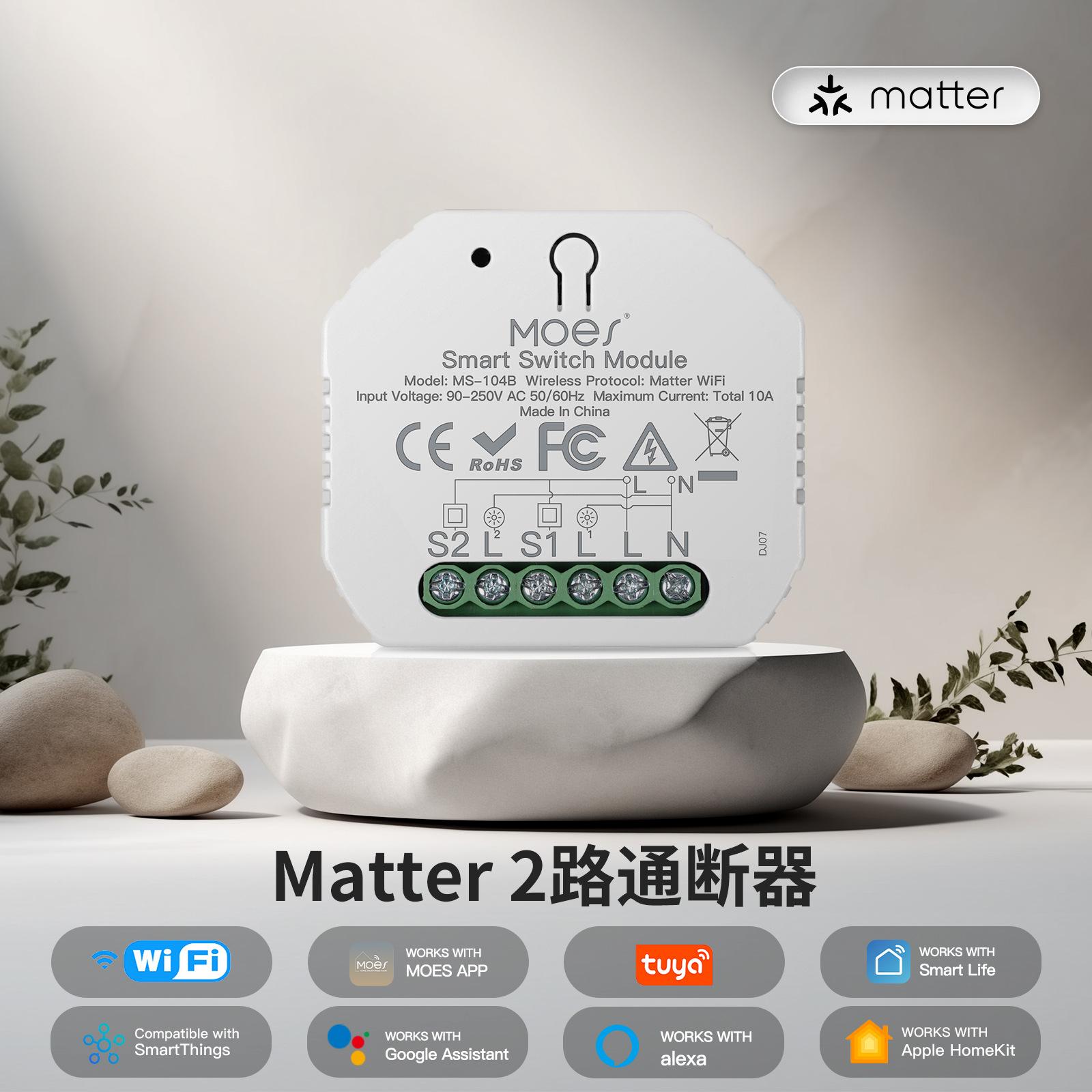 matter二路WiFi涂鸦智能家居开关