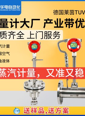 管道涡街流量计 工业液体流量控制器测蒸汽DIN250DN100蒸汽流量计