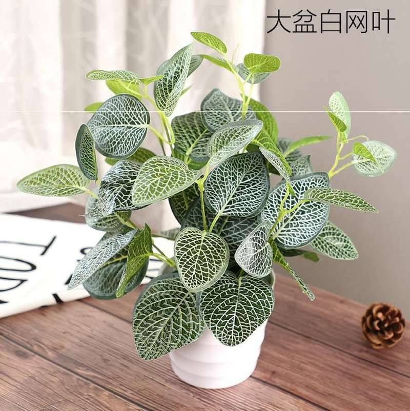 极速服装店创意i仿真植物盆景小盘栽植物摆件高花盆栽假的室外摆