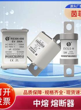 RS306-000LN 80A 100A 110A 125A 160A 200A 225A西安中熔熔断器