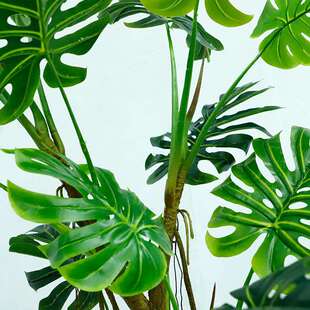 仿真龟背假植物仿真绿植盆栽简约风装饰家居办公室仿真喜林芋造景