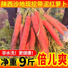 陕西水果红萝卜小胡萝卜新鲜蔬菜脆甜生吃胡萝卜精选甜萝卜红胡萝
