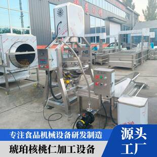工厂直销琥珀核桃仁加工设备滚筒脱衣机行星炒料一体机滤油机设备
