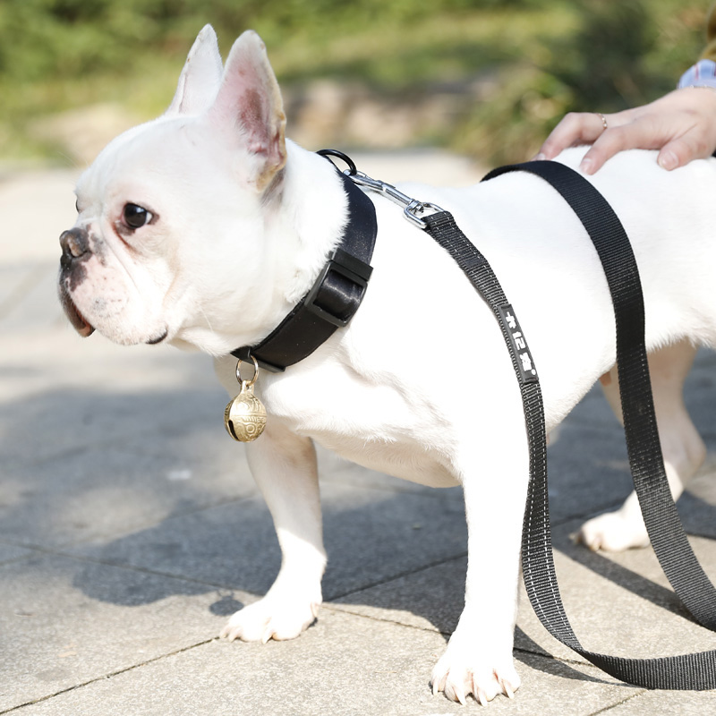 狗狗铃铛项圈中小型犬铜铃铛柯基泰迪法斗颈M圈脖圈牵引绳宠物用