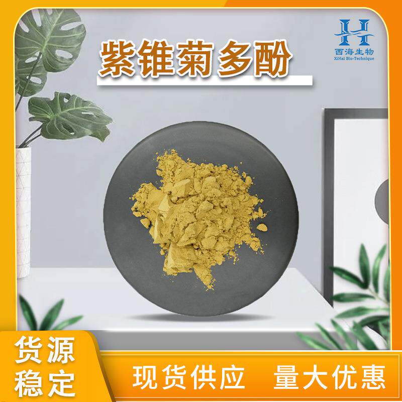现货供应2%紫锥菊多酚水溶性紫锥菊提取菊苣酸1kg起订紫锥菊多酚