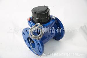 上滨大阀门牌水表铸铁法兰远传水表RS485 有线远传水表DN15-DN200