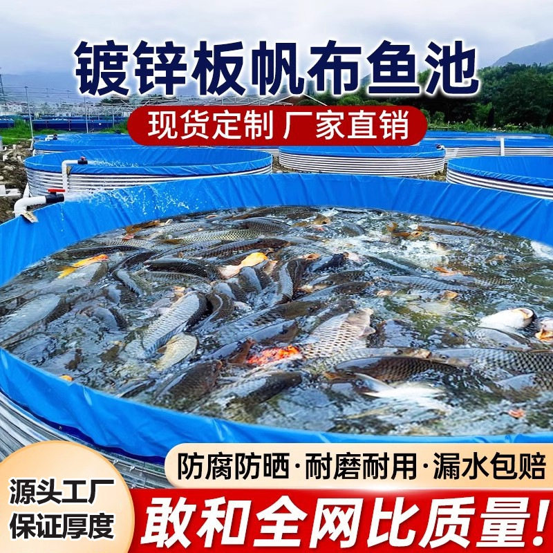 镀锌板帆布鱼池带支架一整套加厚刀刮布大容量移动蓄水池养鱼水箱