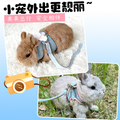 新品兔子b牵引绳溜兔子防挣脱遛兔子专用兔绳外出绳溜兔绳兔兔衣