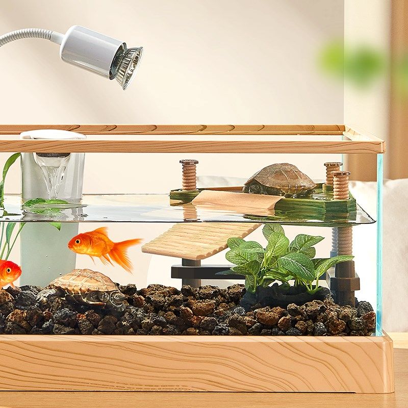 极速养龟竹e纹晒台高水位浮岛爬台爬宠漂浮休息台巴西龟爬梯乌龟