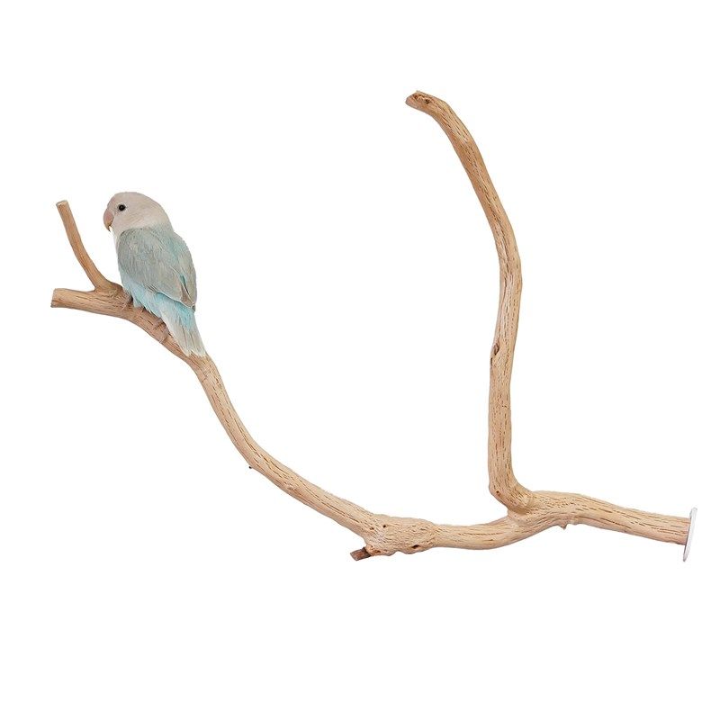 极速鹦鹦队 鹦鹉实木站棍原木树杈站杆小M鸟休息啃咬野梨木鸟磨爪