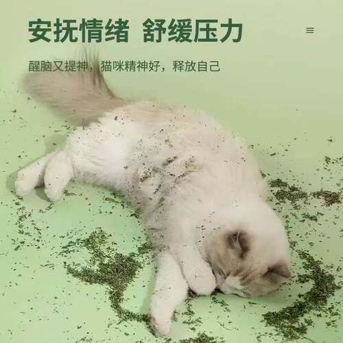 猫薄荷化毛自嗨吸猫草粉