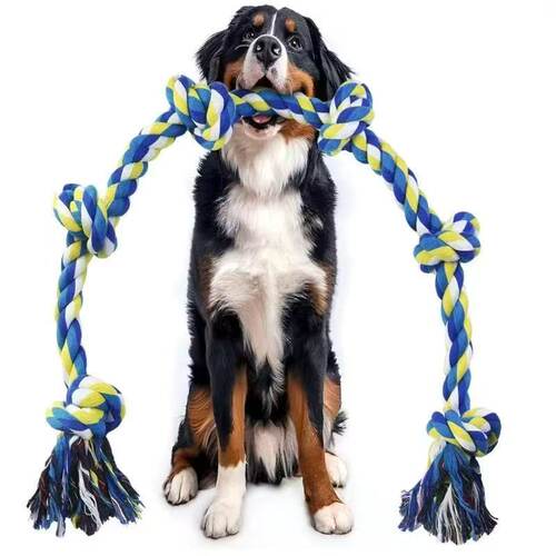 狗狗拔河玩具绳结咬绳互动拉扯绳子大型犬磨牙耐咬边牧小狗