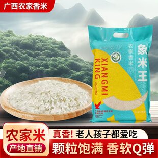 广西象州不抛光零添加农家米九七香丝苗米象牙米猫牙米