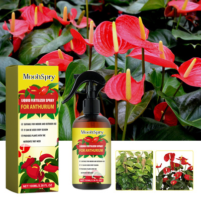 MoonSpry红掌肥料喷雾家用室内