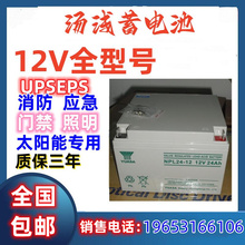 汤浅蓄电池12v24铅酸免维护UPS应急消防主机NP24 12照明通讯