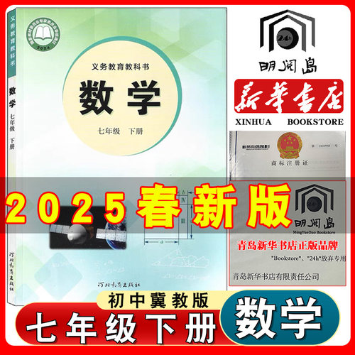 2025年冀教版数学七年级下册