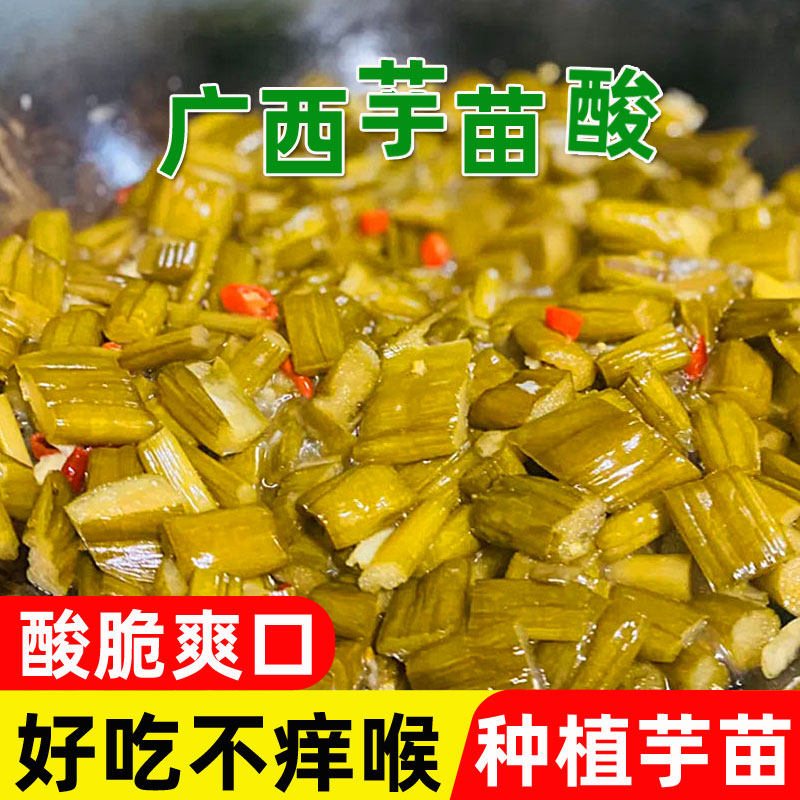 广西特产酸芋苗正宗酸檬新鲜腌制芋荷梗开胃小菜芋苗酸商用袋装