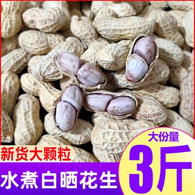 龙岩花生带壳咸干五香原味