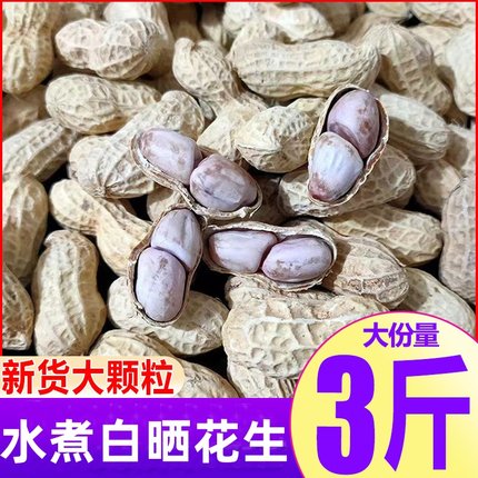 龙岩花生带壳咸干五香原味盐水白晒水煮花生米熟炒货零食