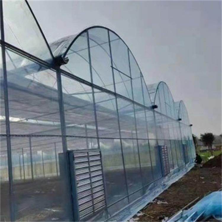 大型连体po膜覆盖薄膜温室智能双拱双模圆拱形拱棚菊花育苗基地