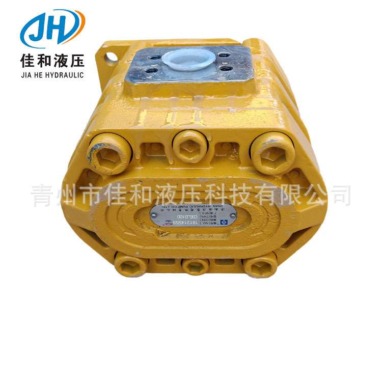 DF966德工标准工作泵  CBGj3125C