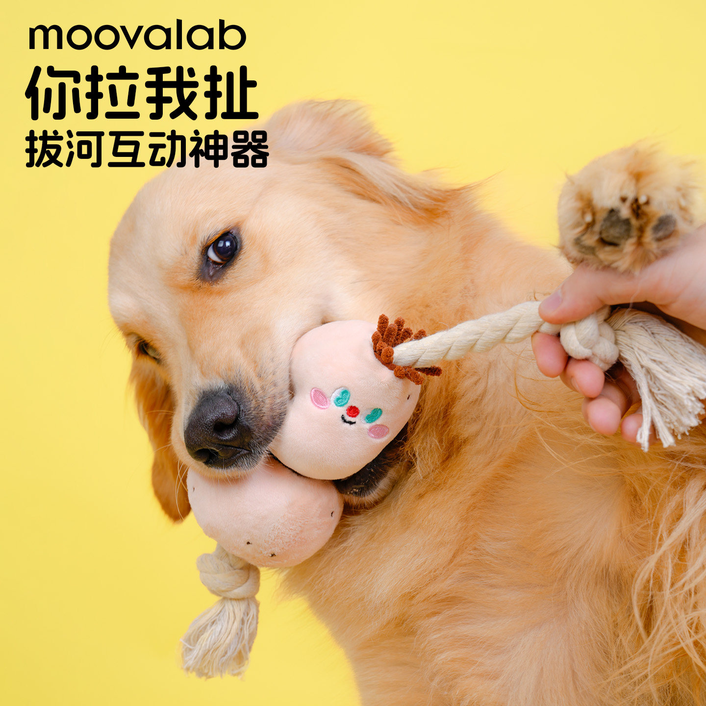 MoovaLab么哇拔河磨牙绳结玩具