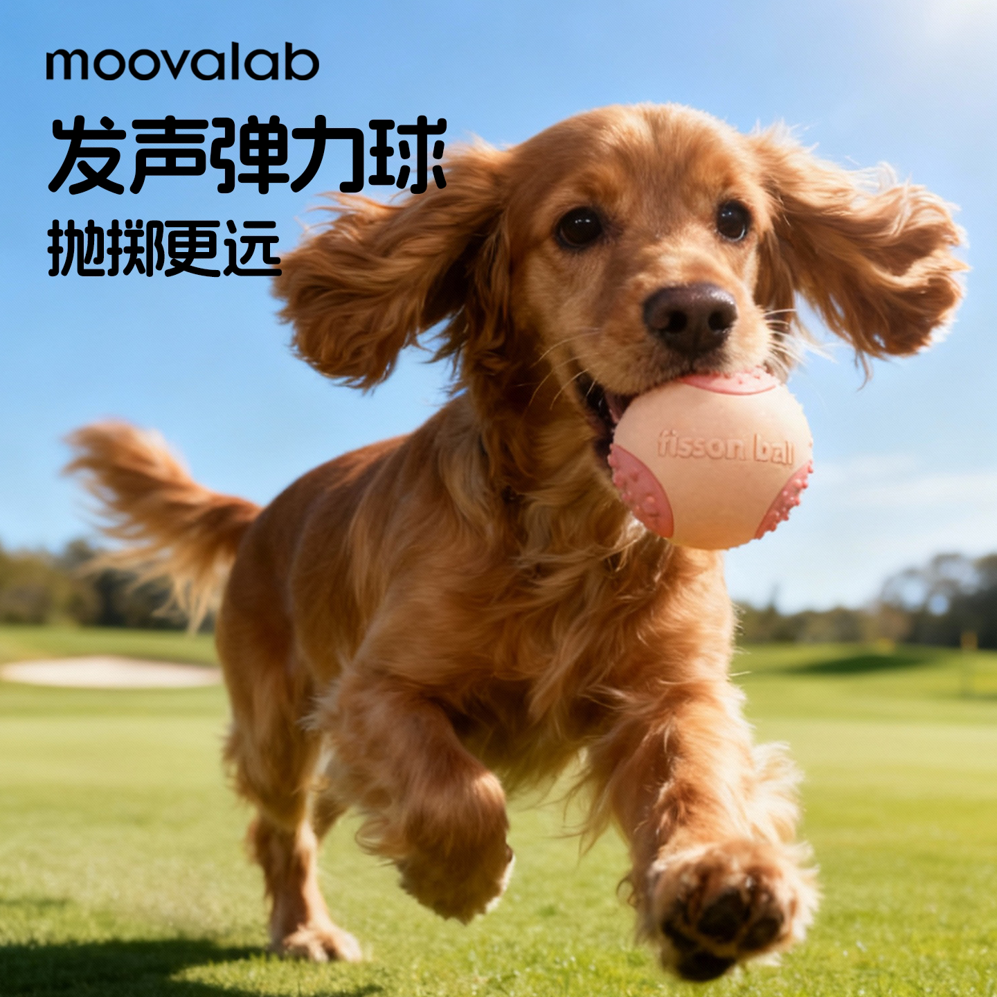 MoovaLab宠物玩具球磨牙巡回训练图片