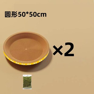 速发猫抓板椭圆形圆形猫窝猫爪猫窝不掉屑瓦楞纸板抓盆猫玩具买一