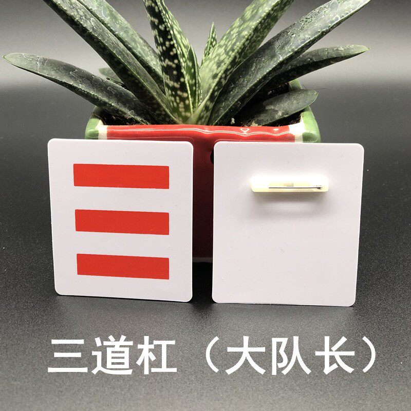 速发小学生中队长二道杠小队长标志少先队一道杠班干部塑料