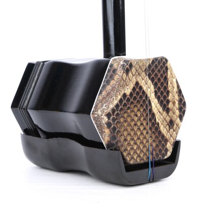 速发学木二胡 背脊皮色初入门二胡