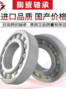 氧化锆全陶瓷轴承6015 6016 6018 6416 6200 6201 6202 6203CE