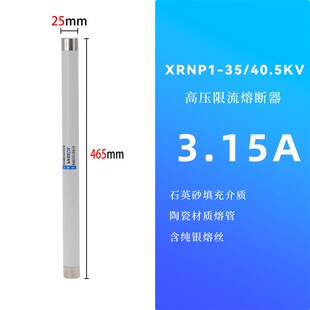 35KV高压限流熔断器XRNP1 0.5A1A2A3.15A保险熔断器电压互感器