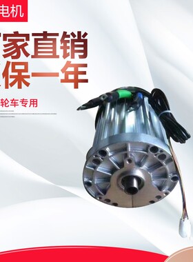 电动三轮四轮电瓶车60v72v2200w3000w大功率载货直流无刷差速电机