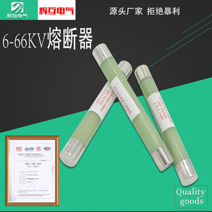 0.5 XRNP1 5A电压互感器限流熔断器银丝24 3.15 35KV