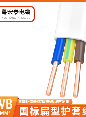 国标BVVB白色护套线2芯3芯1 1.5 2.5平方平行家用纯Y铜电源硬电线