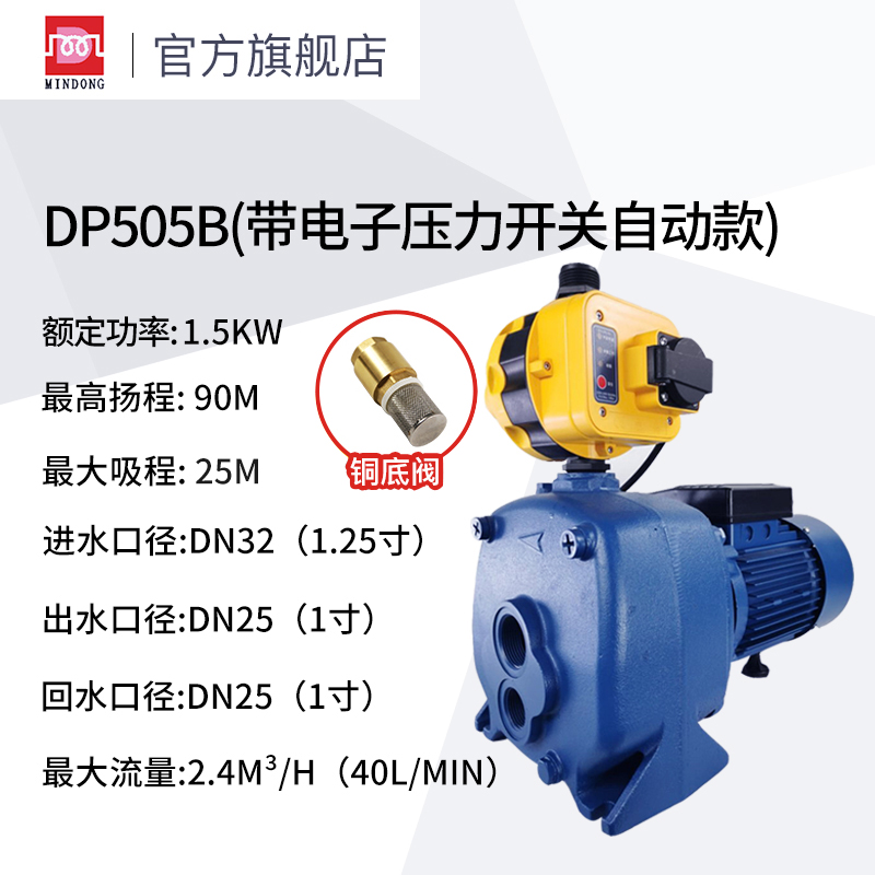 闽东电机DP深井泵220V高扬程高D吸程双管吸程25m抽水机增压水泵