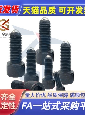 球头柱塞 BPRL4/5/6/8/10/12-10/15/20/25/30/40/50弹簧顶丝