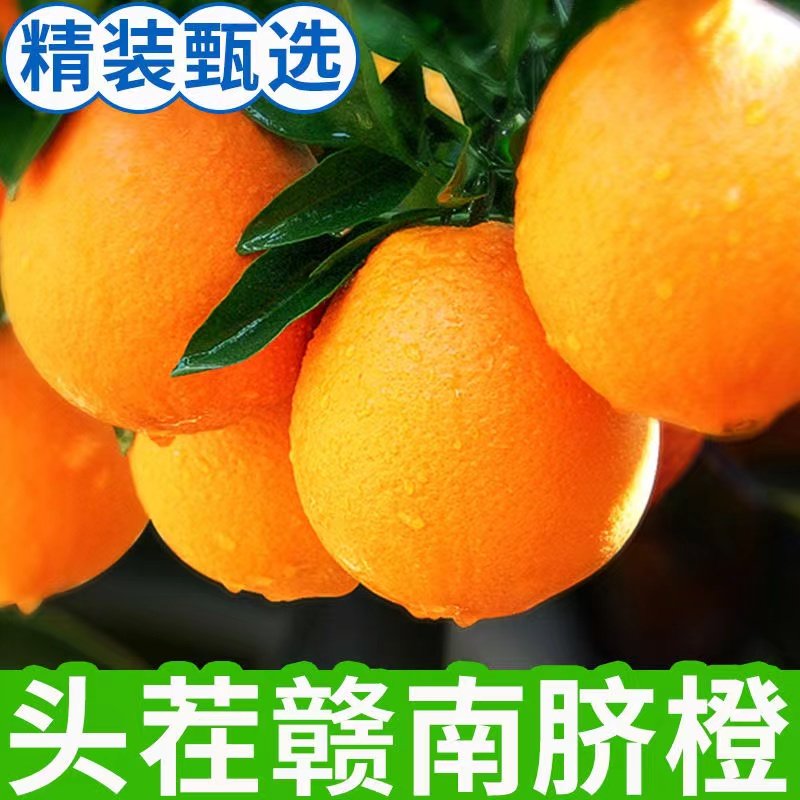 【渝见橙】正宗江西赣南脐橙当季新鲜水果现摘现发整箱9斤,水产肉类/新鲜蔬果/熟食,橙,淘宝优惠券,粉丝福利购,淘宝优惠卷