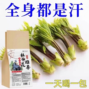 出汗多喝什么茶一动就出汗手汗症止汗神器盗虚调理杜仲花雄茶