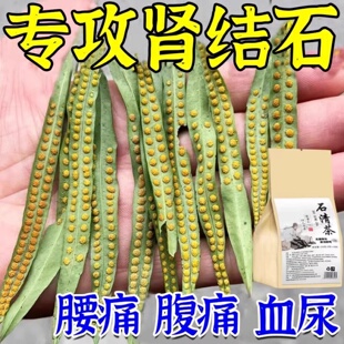 肾结石排石茶鸡内金专用清石化石溶石去胆囊喝什么利尿中草药特效